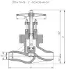 straight globe valve with gland seal, DN50, PN100 